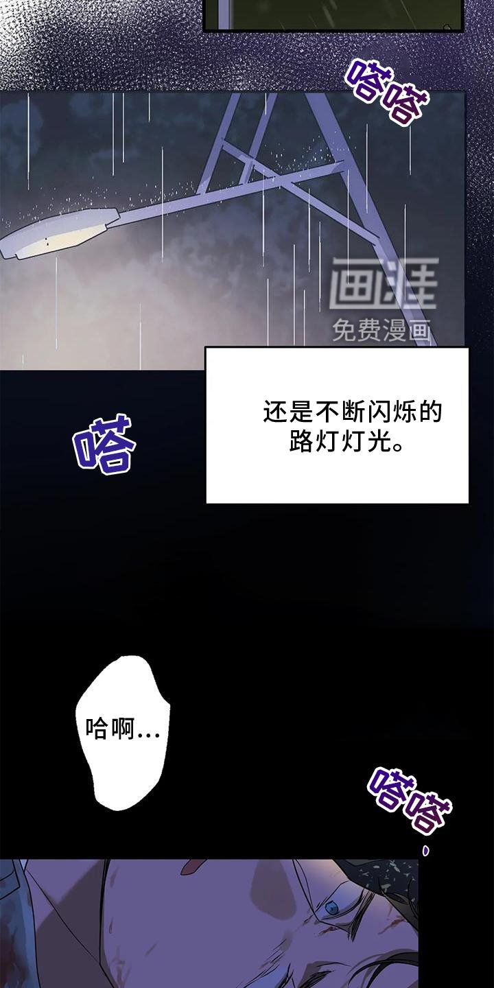 第26章：再现