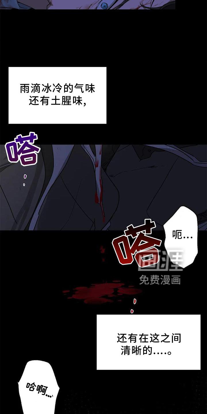 第26章：再现