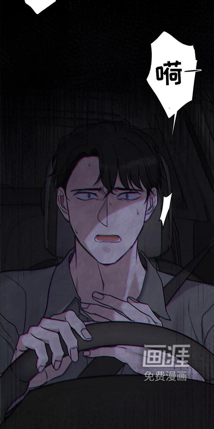 第26章：再现