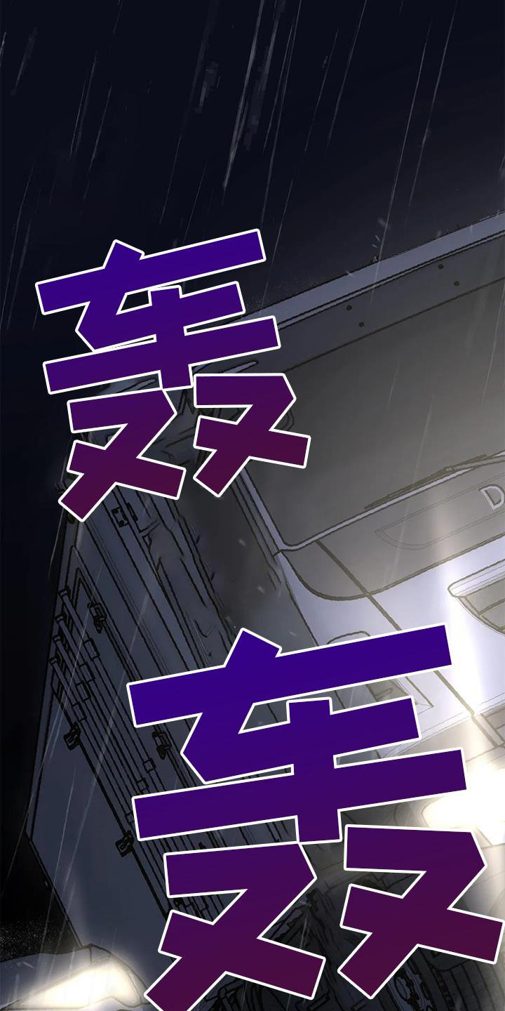 第26章：再现