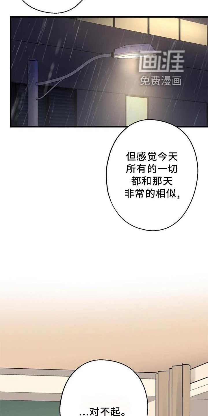 第29章：对不起