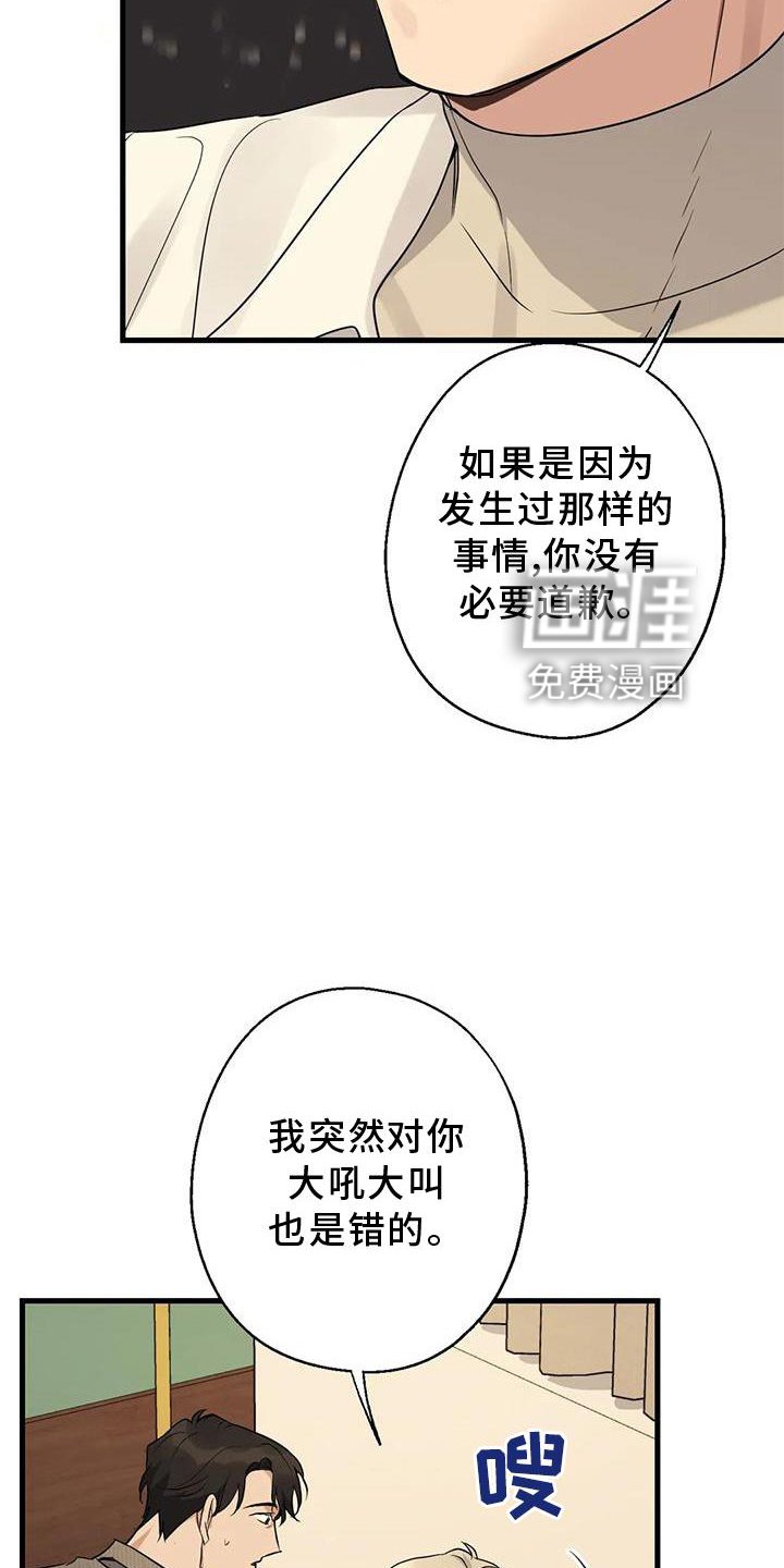 第29章：对不起