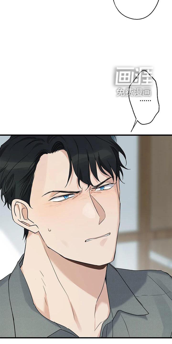 第31章：回家