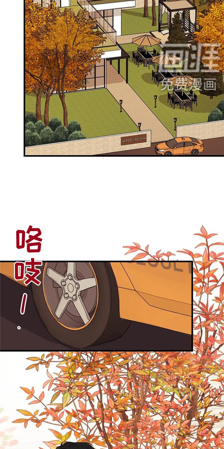 第32章：咨询