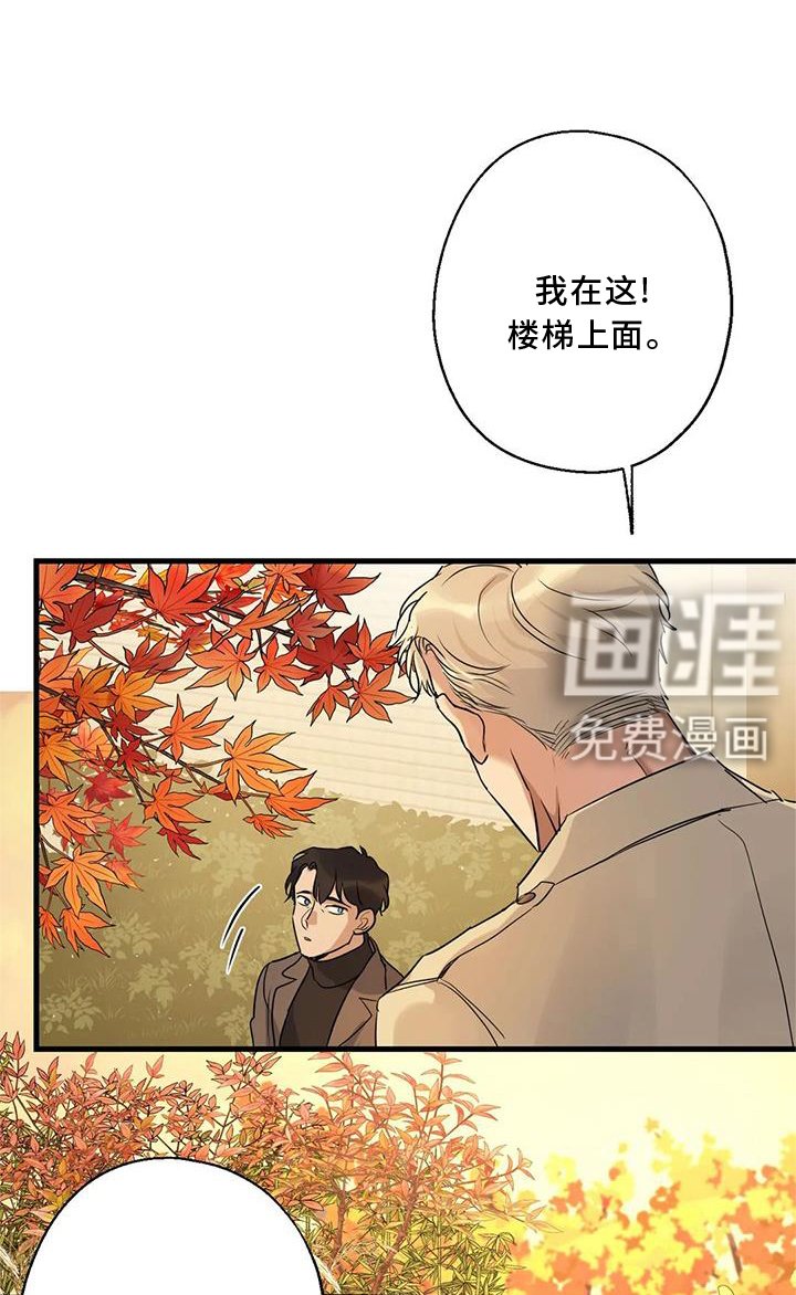 第33章：同意