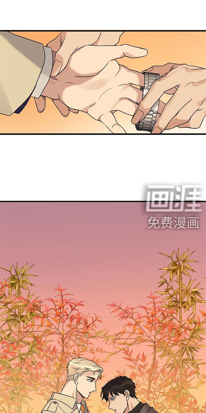 第33章：同意