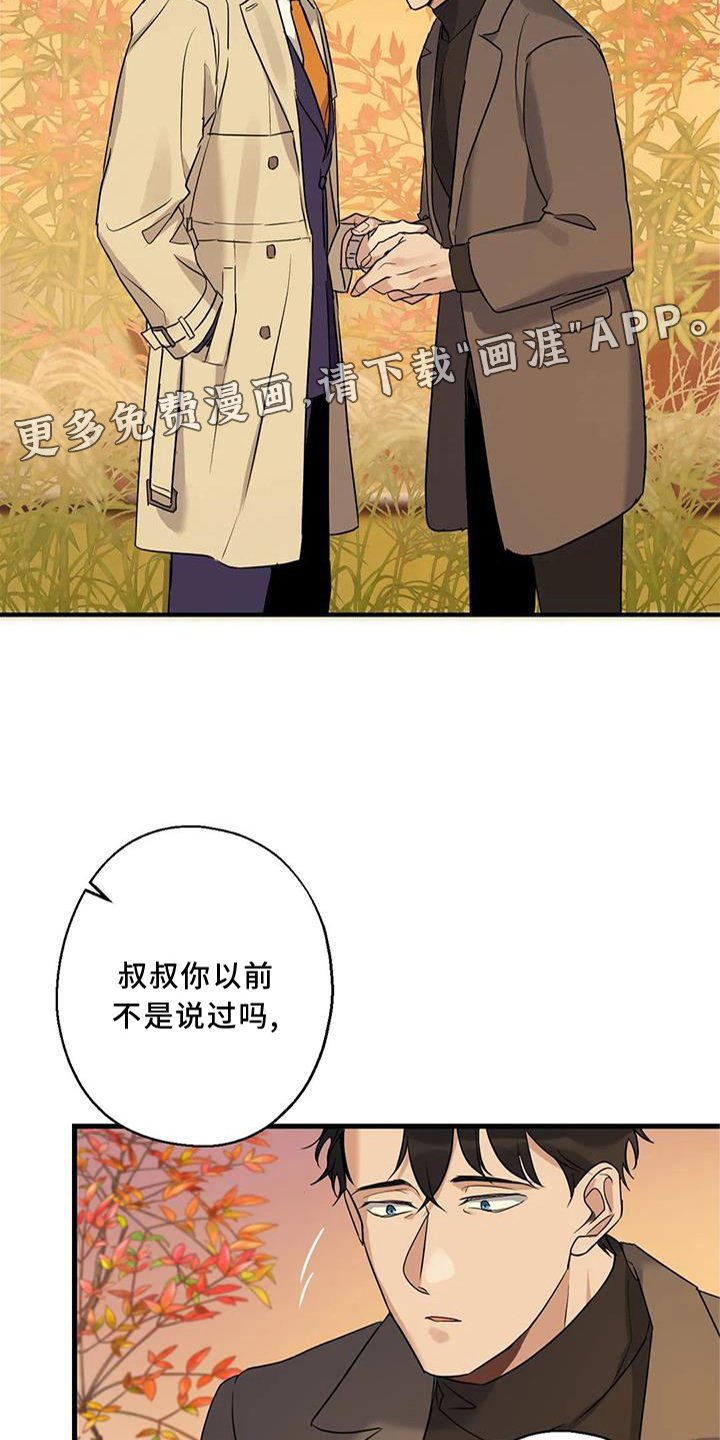 第33章：同意