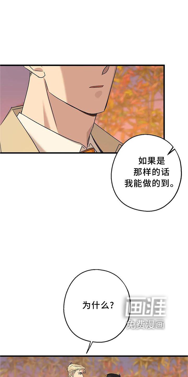 第34章：假恋爱
