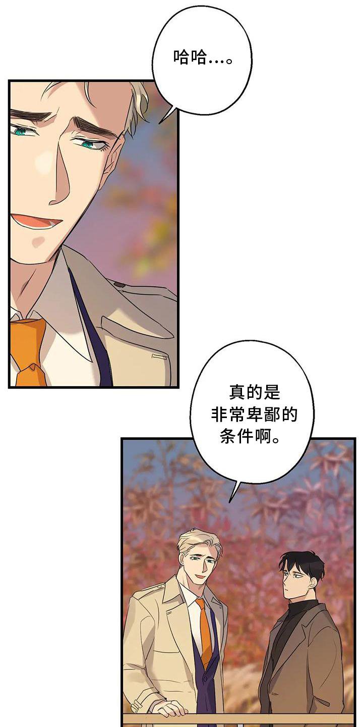 第34章：假恋爱