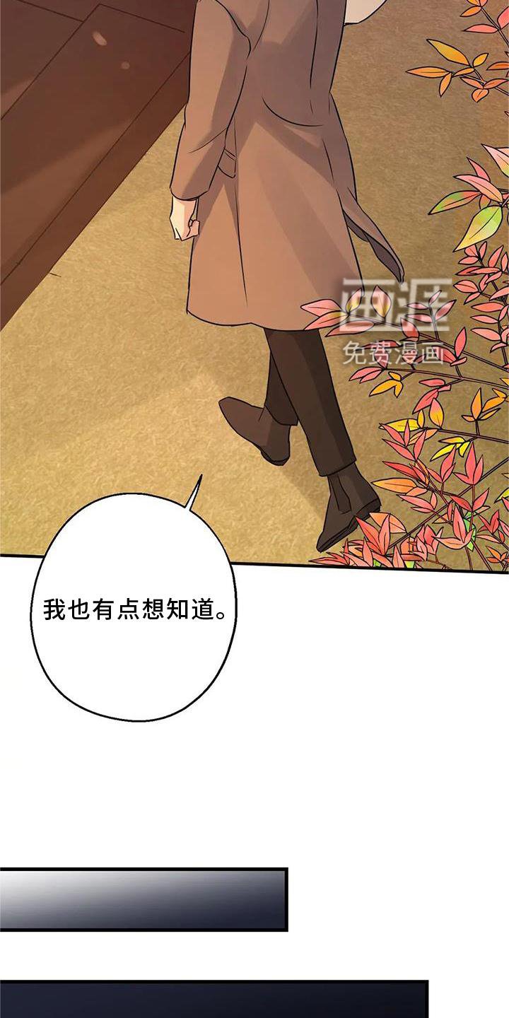 第35章：在意