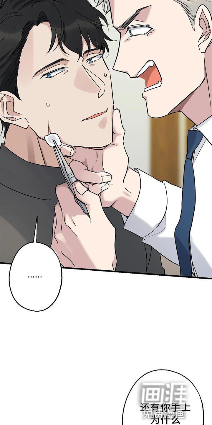 第37章：安慰