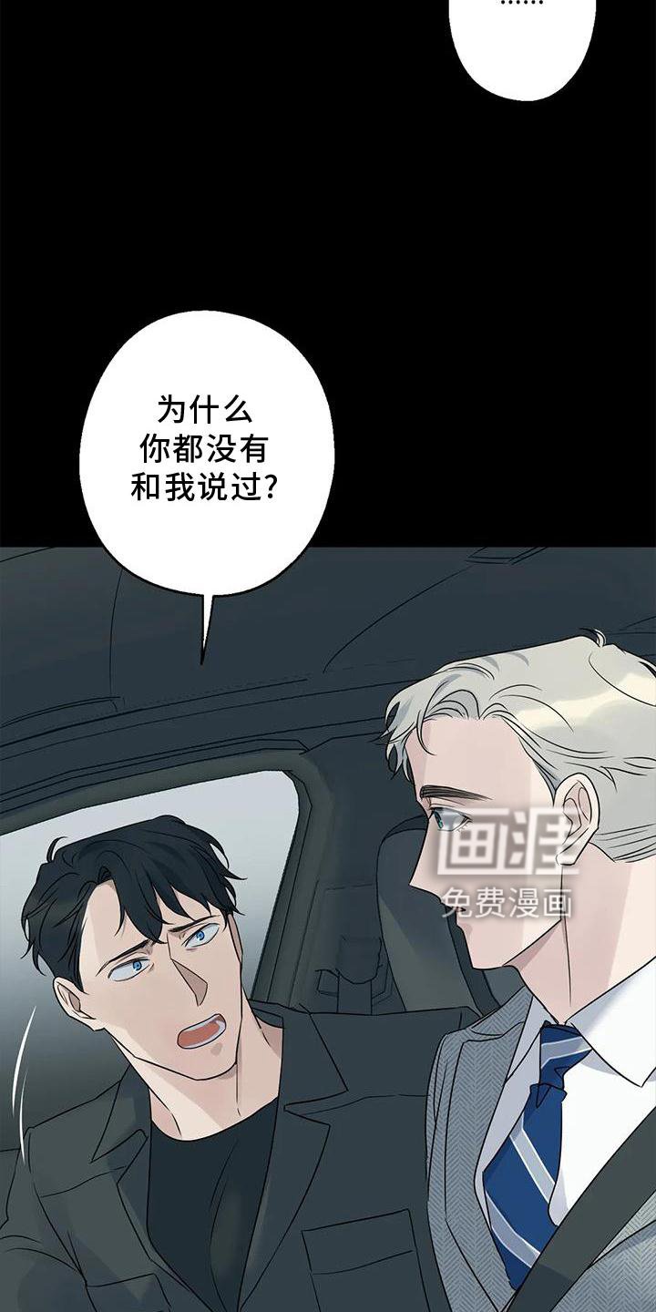 第40章：调查
