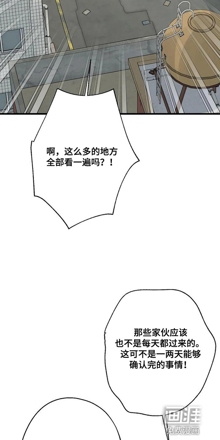 第48章：第一次骑自行车