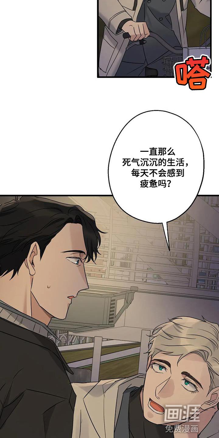 第48章：第一次骑自行车