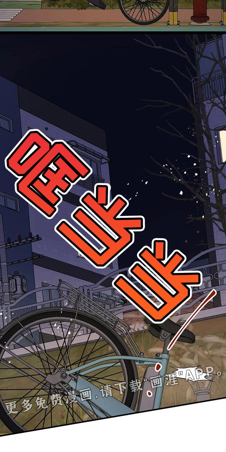 第48章：第一次骑自行车