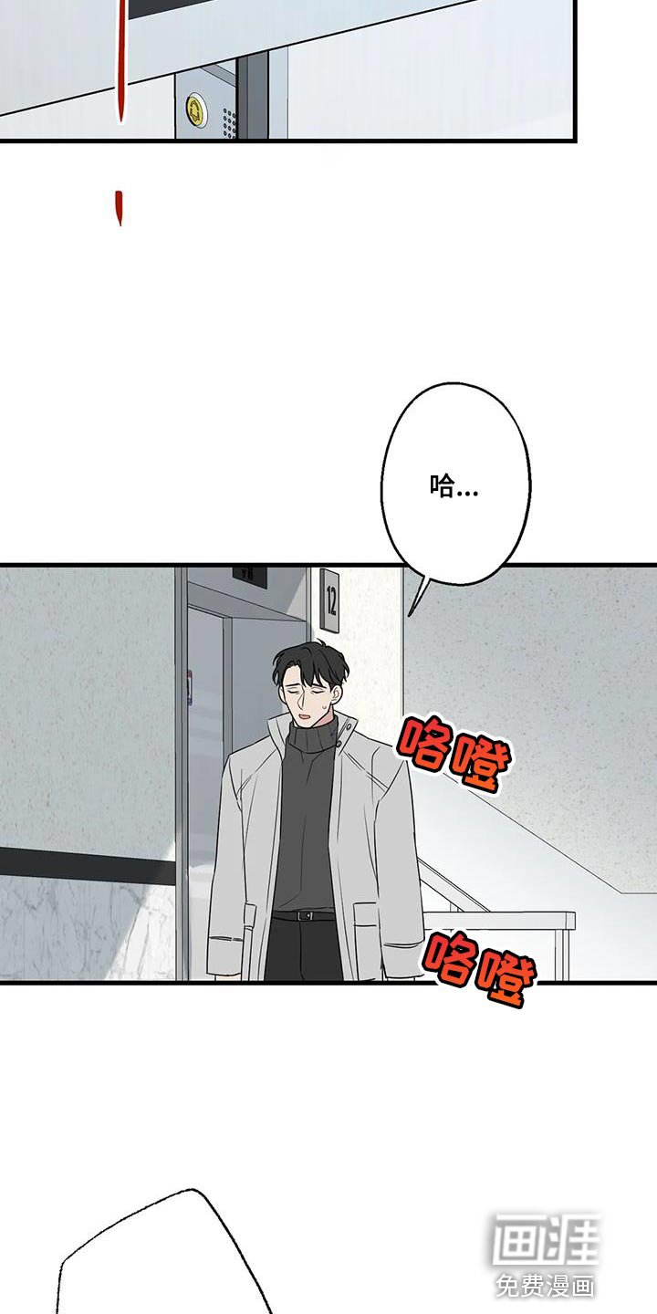 第64章：以为你不会回来了
