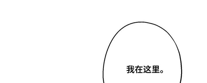 第65章：复仇