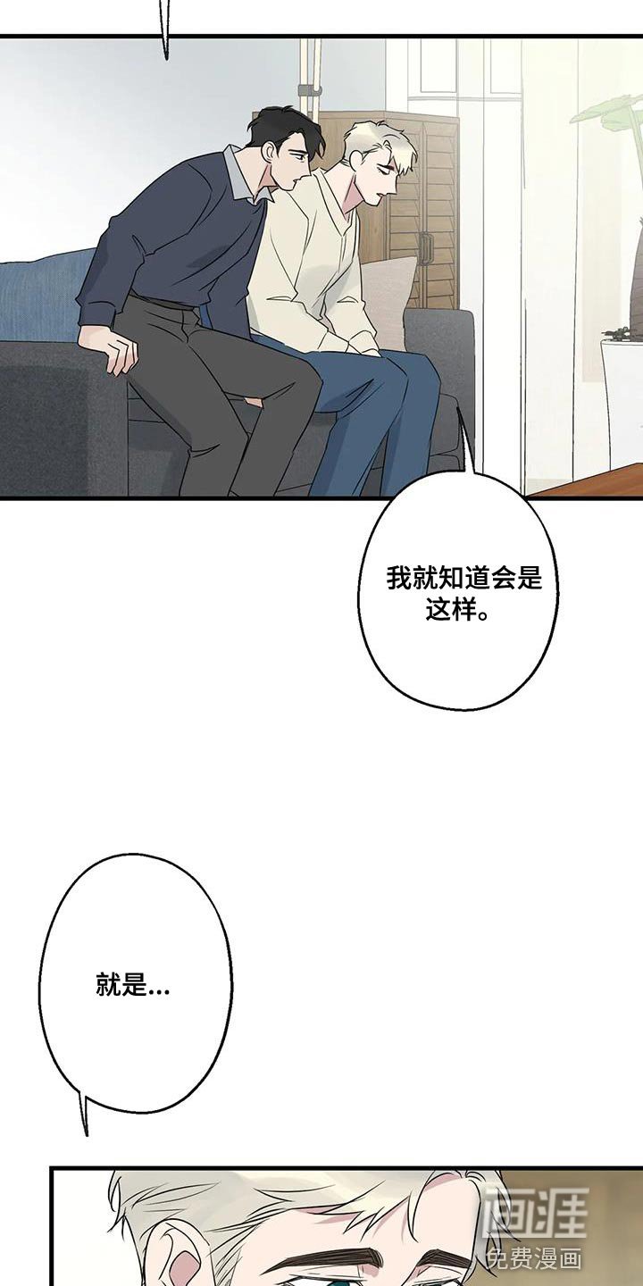 第65章：复仇