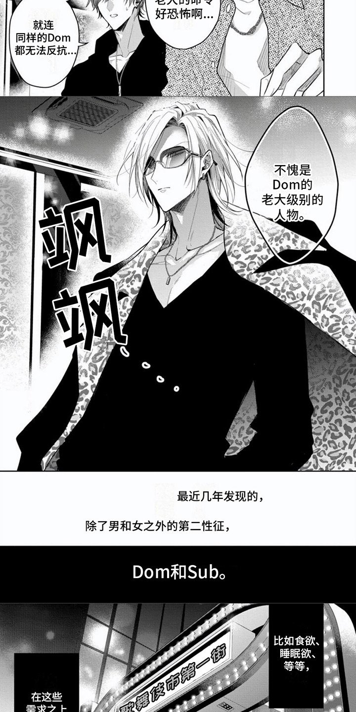 第1章：支配者