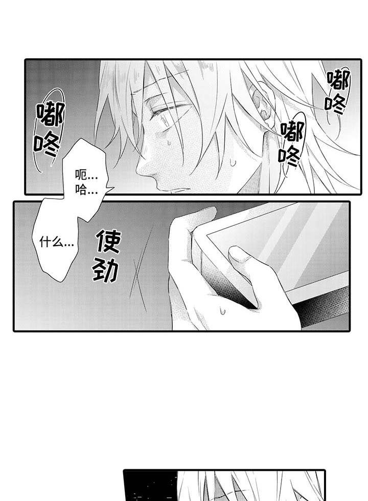 第13章：照片