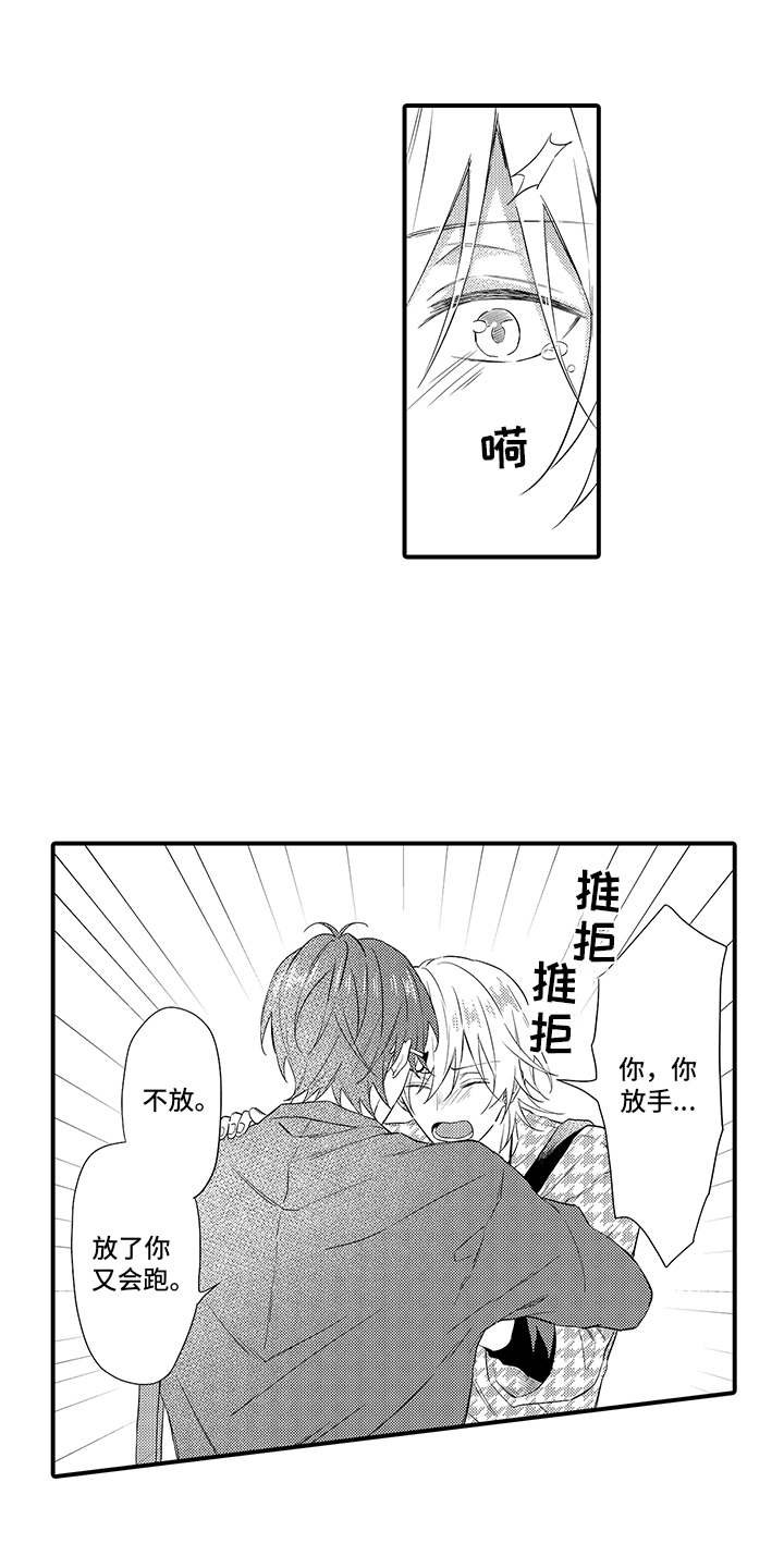 第17章：解释