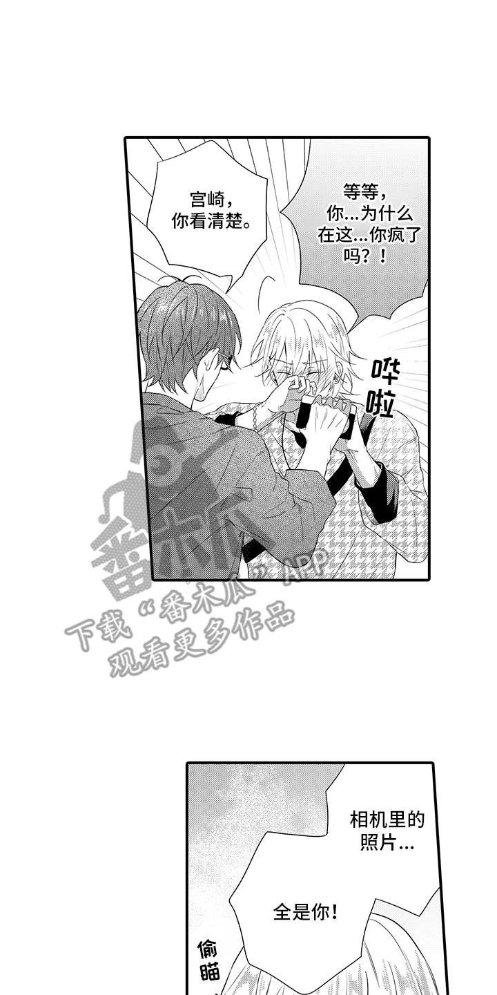 第17章：解释