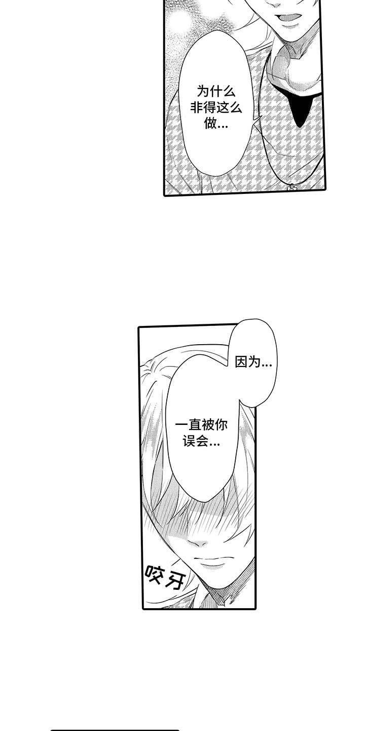 第17章：解释