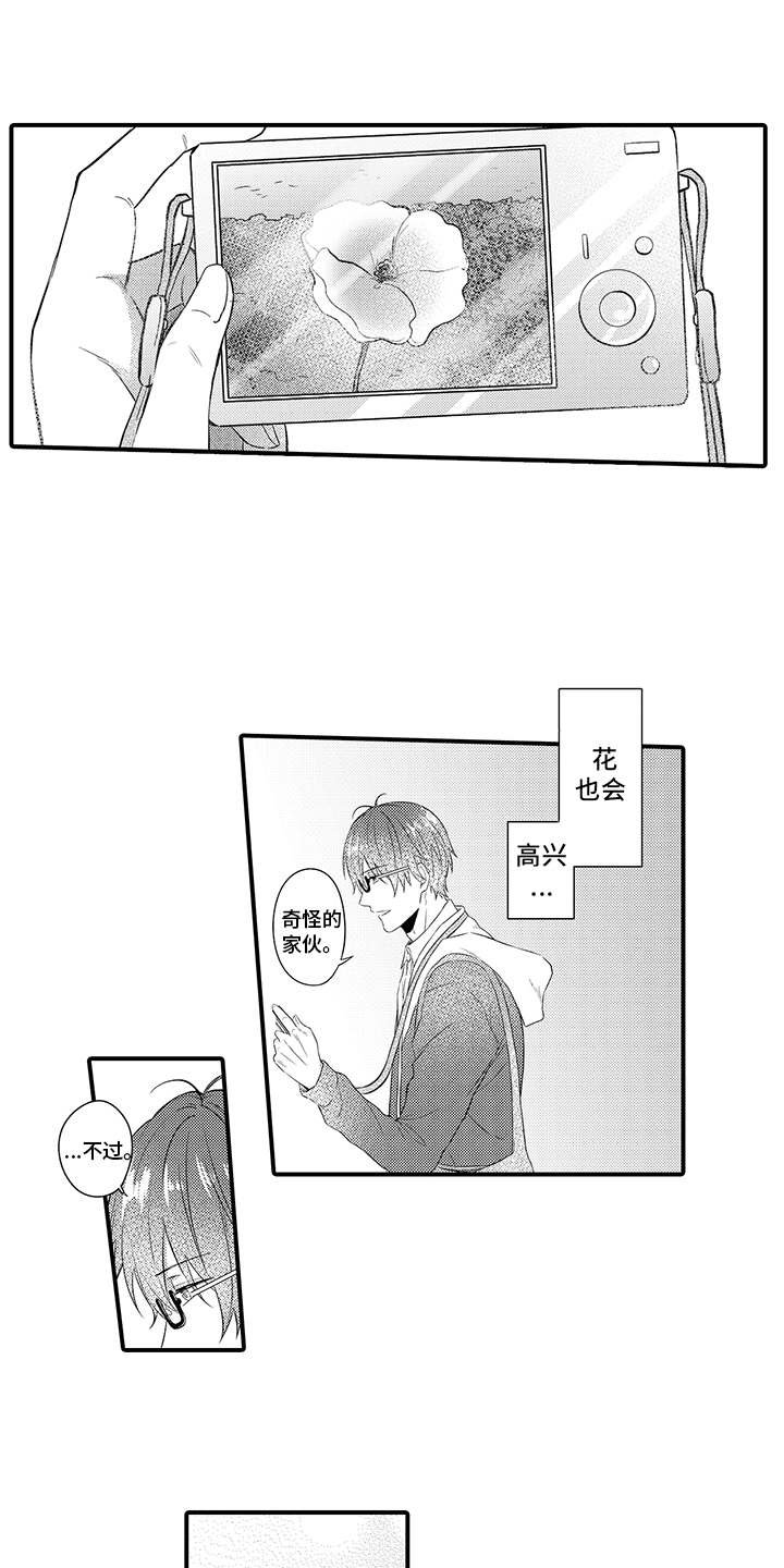 第3章：暗自窃喜