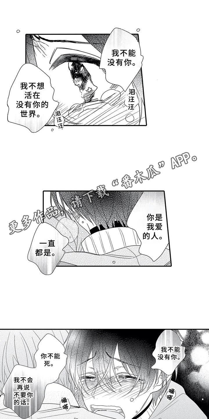 第17章：坦白心意