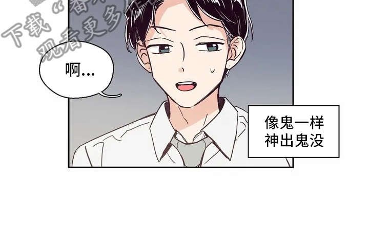 第13章：八卦