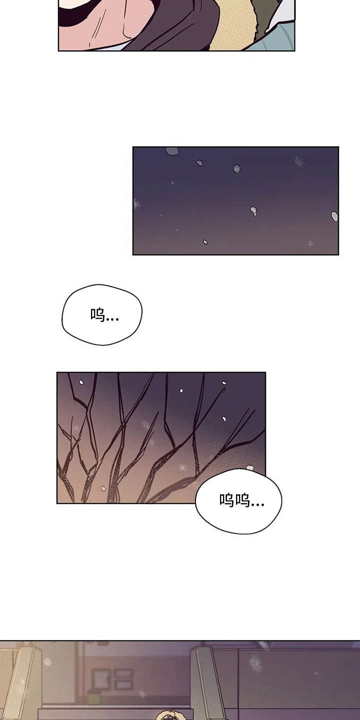 第46章：真面目