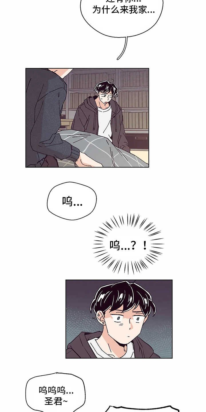 第53章：照顾