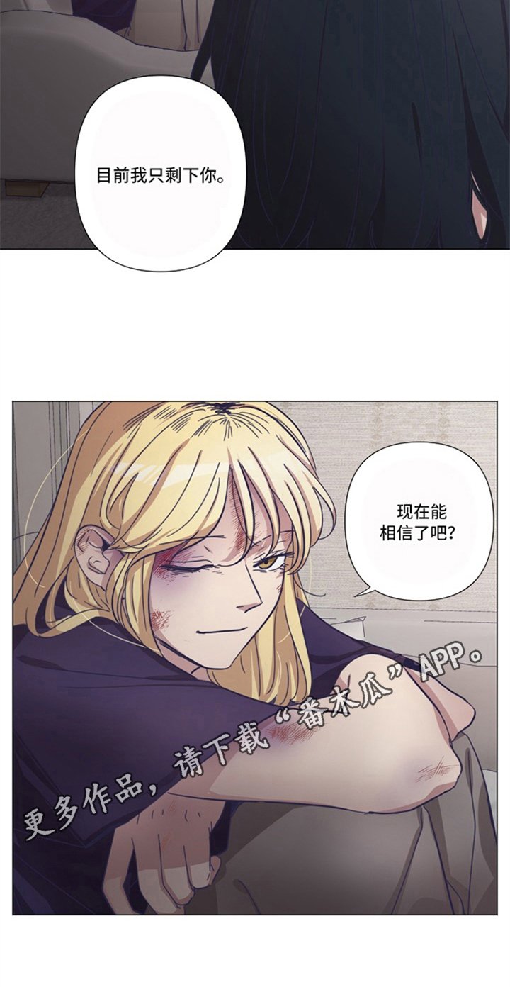 第17章：后果