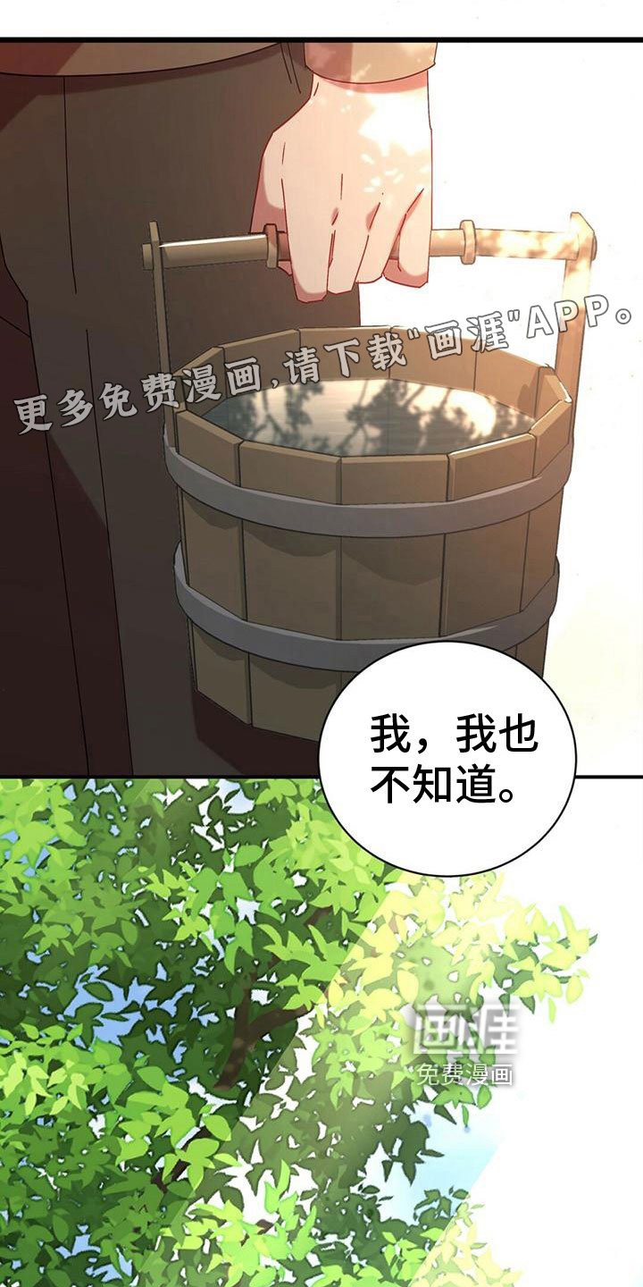 第11章：表白