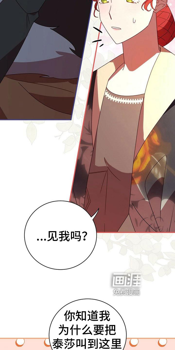 第24章：谋划