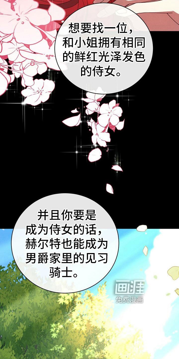 第4章：阴谋
