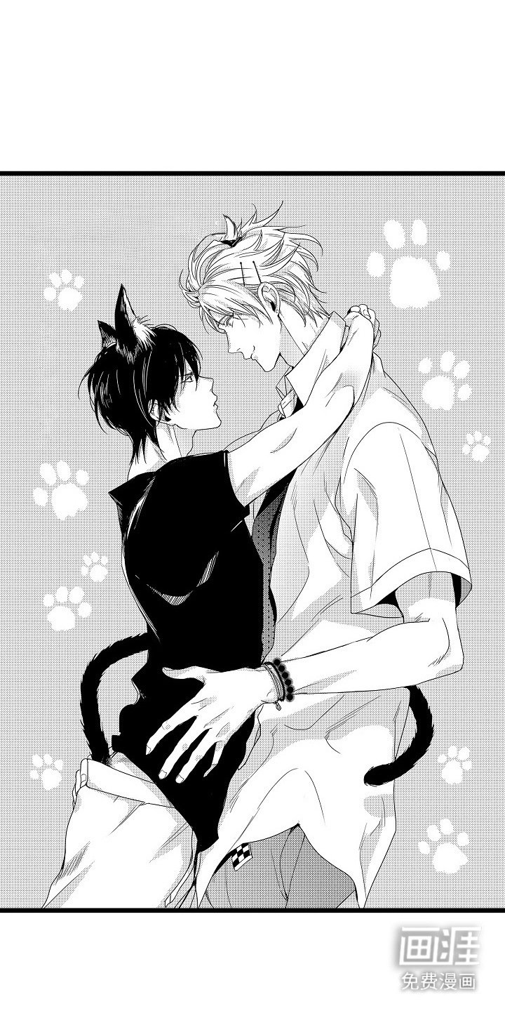 第12章：黑猫