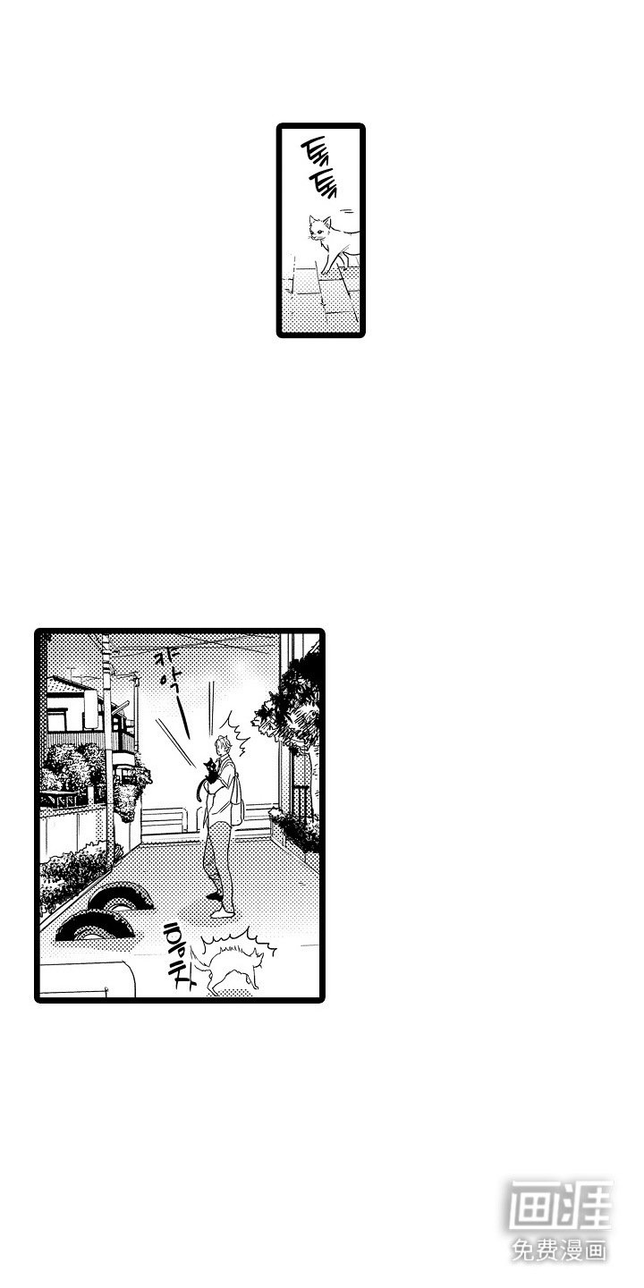 第12章：黑猫