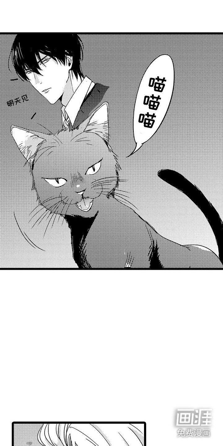 第12章：黑猫
