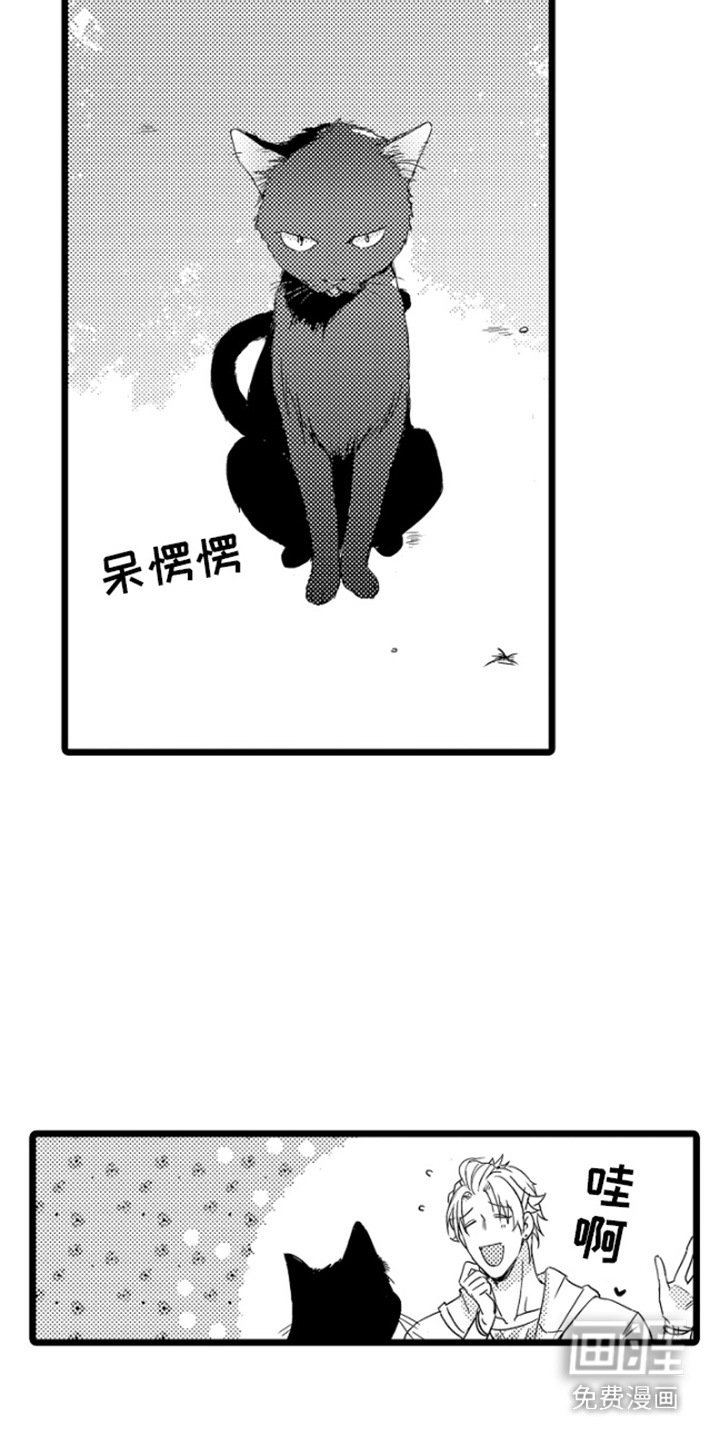 第15章：不想错过