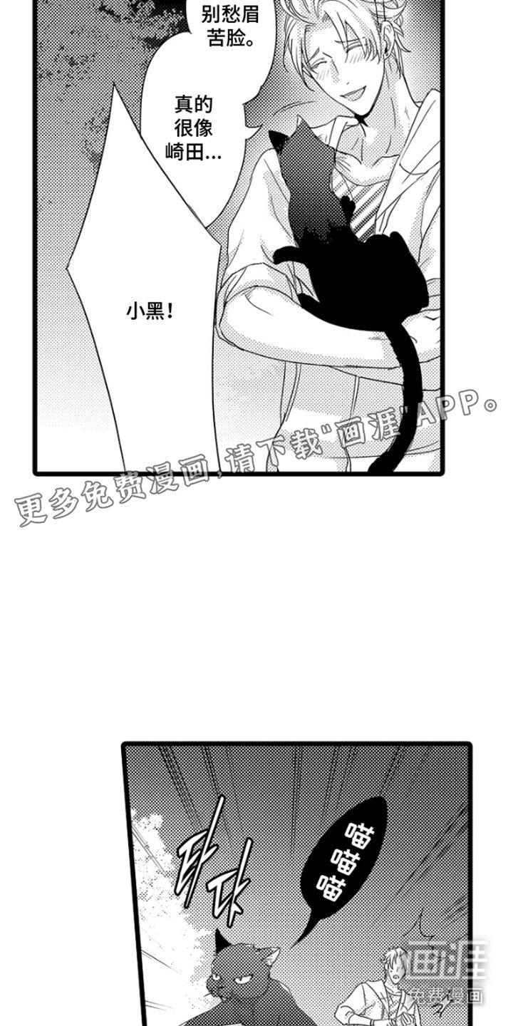 第15章：不想错过