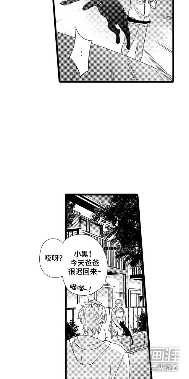 第15章：不想错过