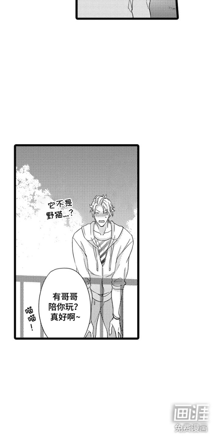 第15章：不想错过