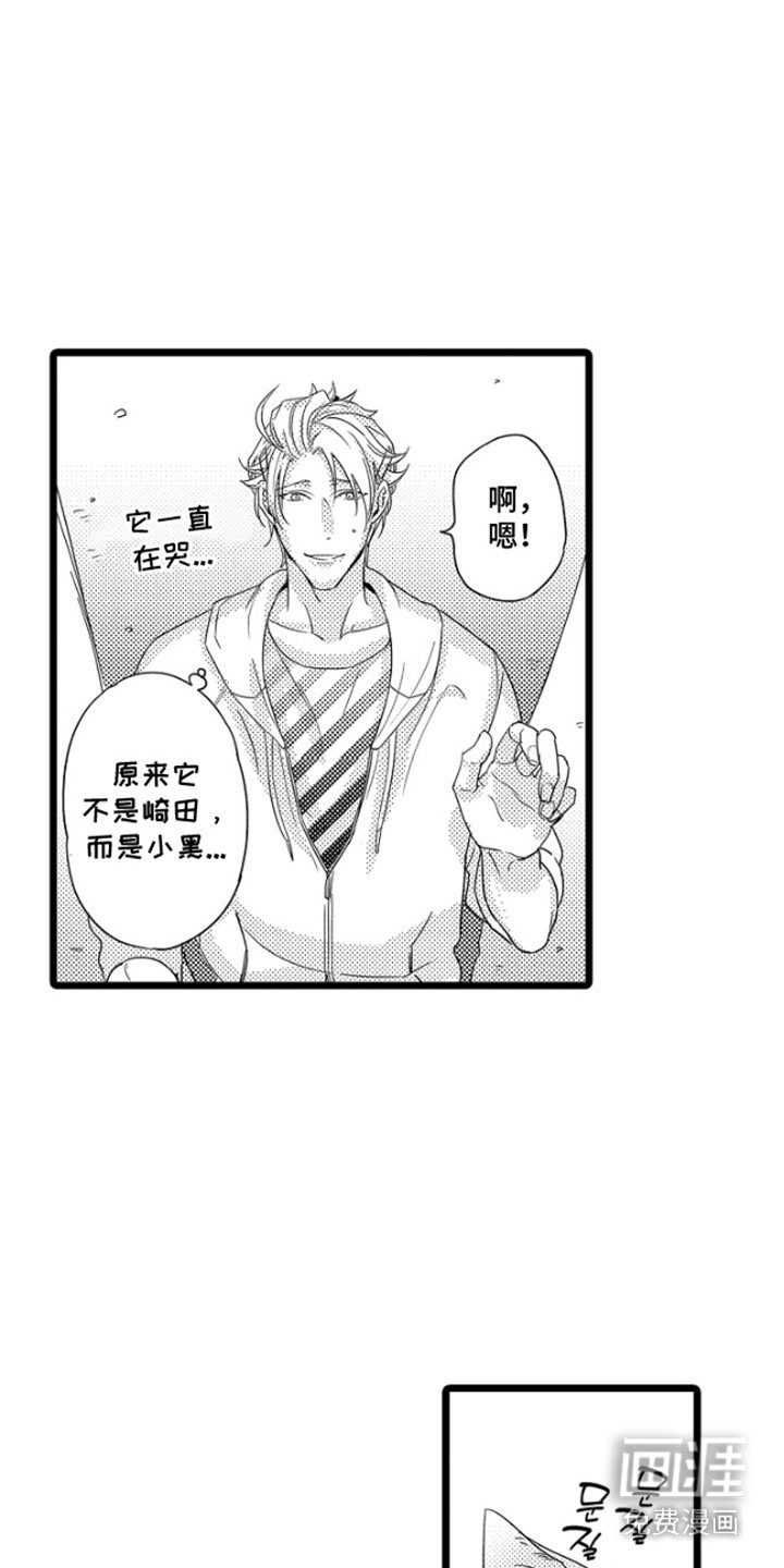 第15章：不想错过