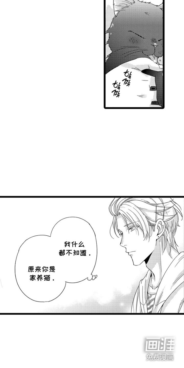 第15章：不想错过
