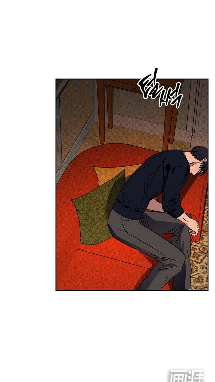 第7章：收留