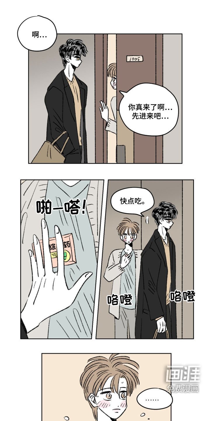 第13章：分量