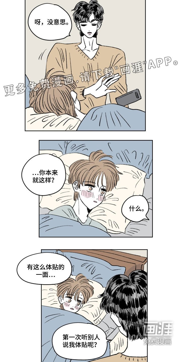 第13章：分量
