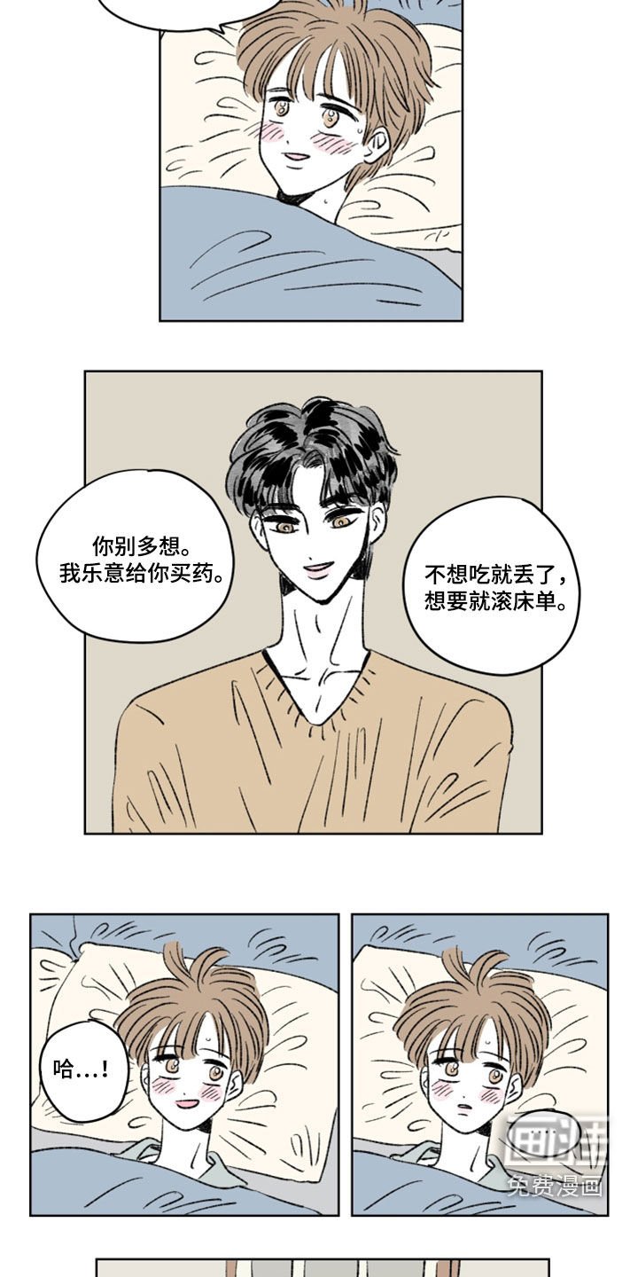 第13章：分量