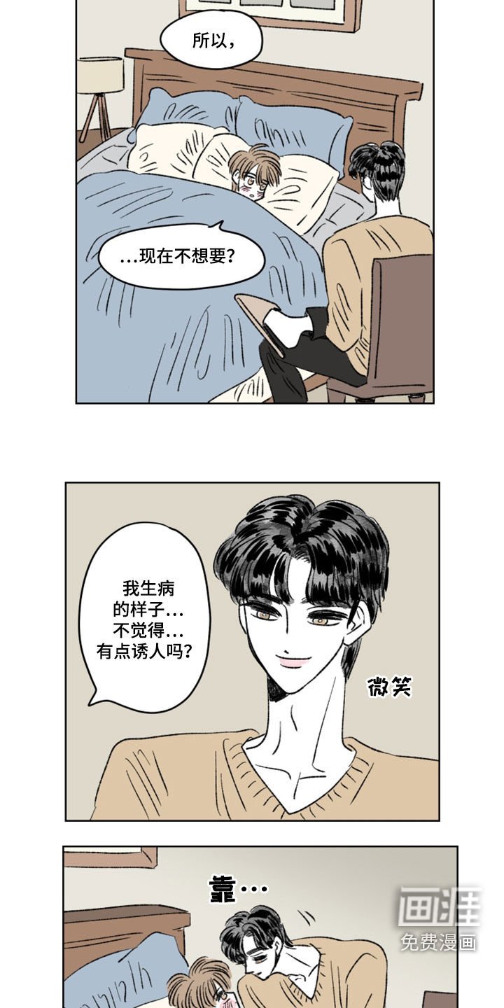第13章：分量